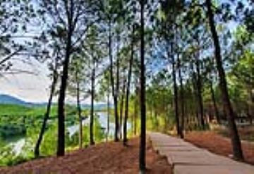 Chiều trên đồi Vọng Cảnh