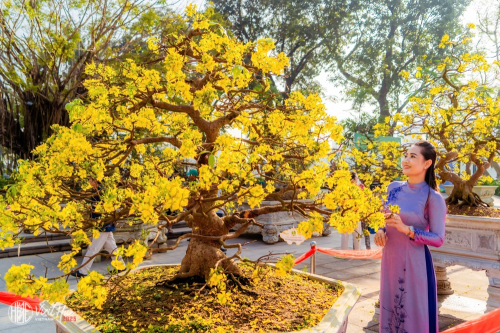 Huế của chúng mình