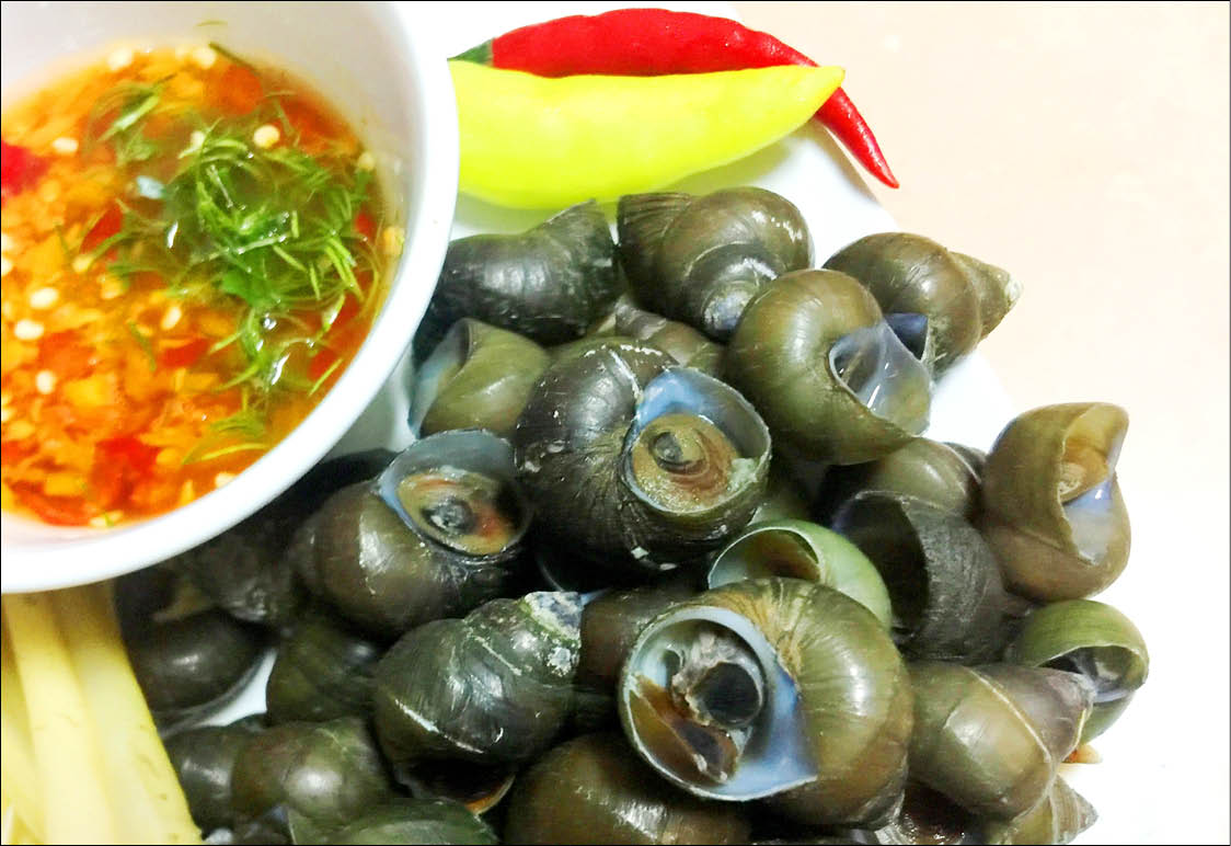 Tasty stream snails