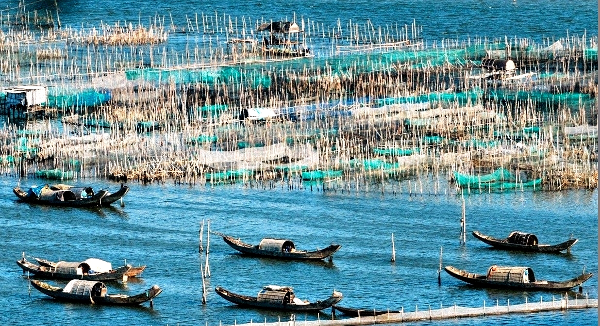 Không gian ẩm thực bên phá Tam Giang